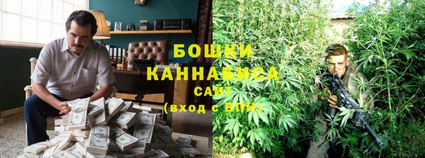 PSILOCYBIN Алексеевка