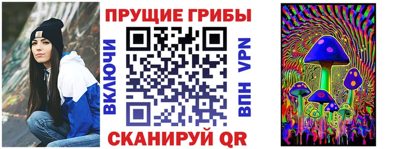 Псилоцибиновые грибы Magic Shrooms  купить наркотик  кракен   Хвалынск 